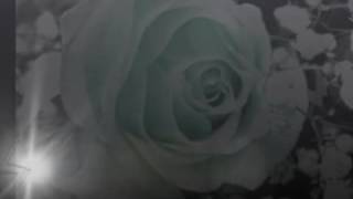 ماوحشتك عيني.... عبدالله رويشد
