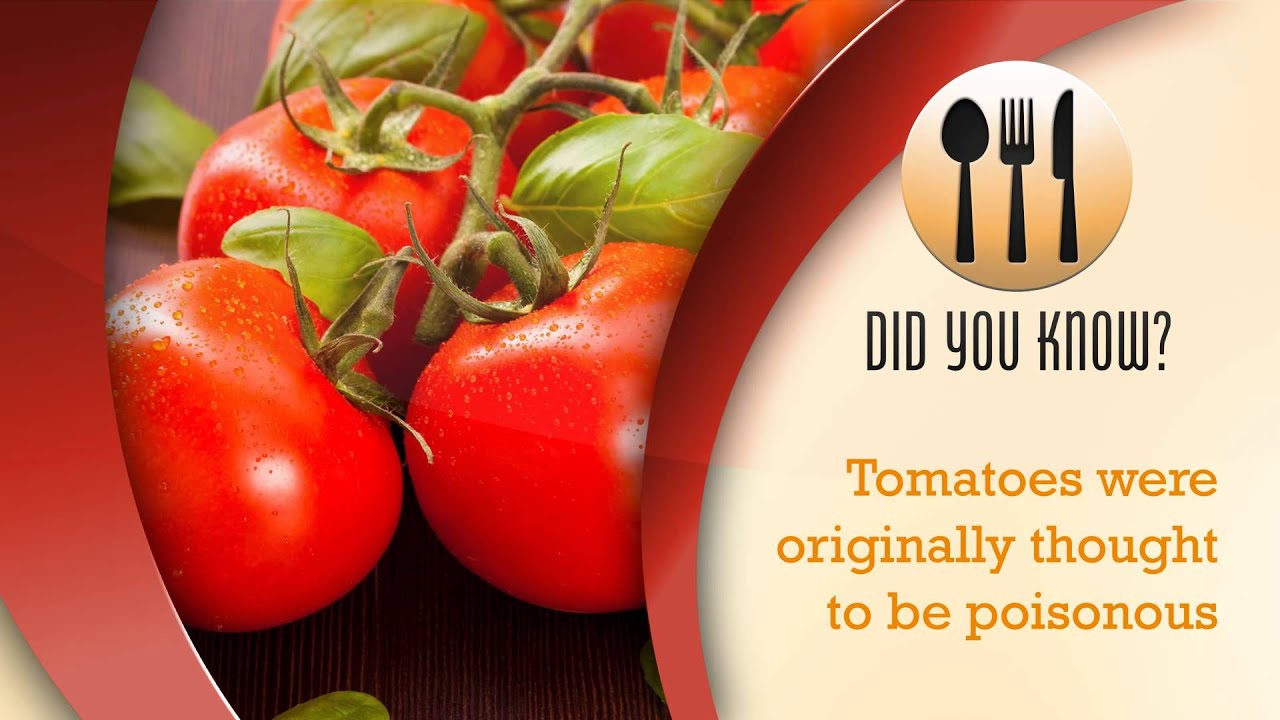 Did You Know FOOD 27 15 1080p