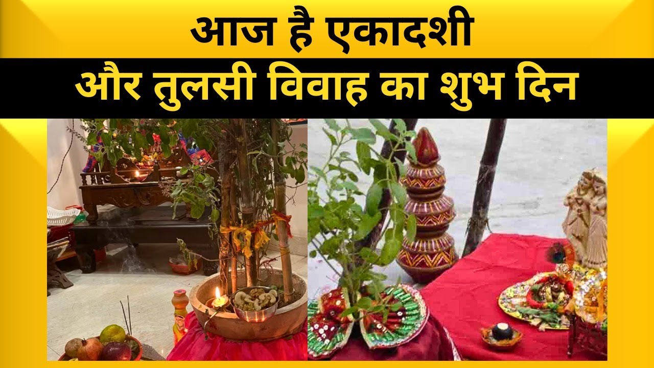 Ekadashiऔर Tulsi विवाह  के दिन क्या करें? Varanasi । Ganga। Sanatan। Sanatan Dharma।  Tulsi vivah