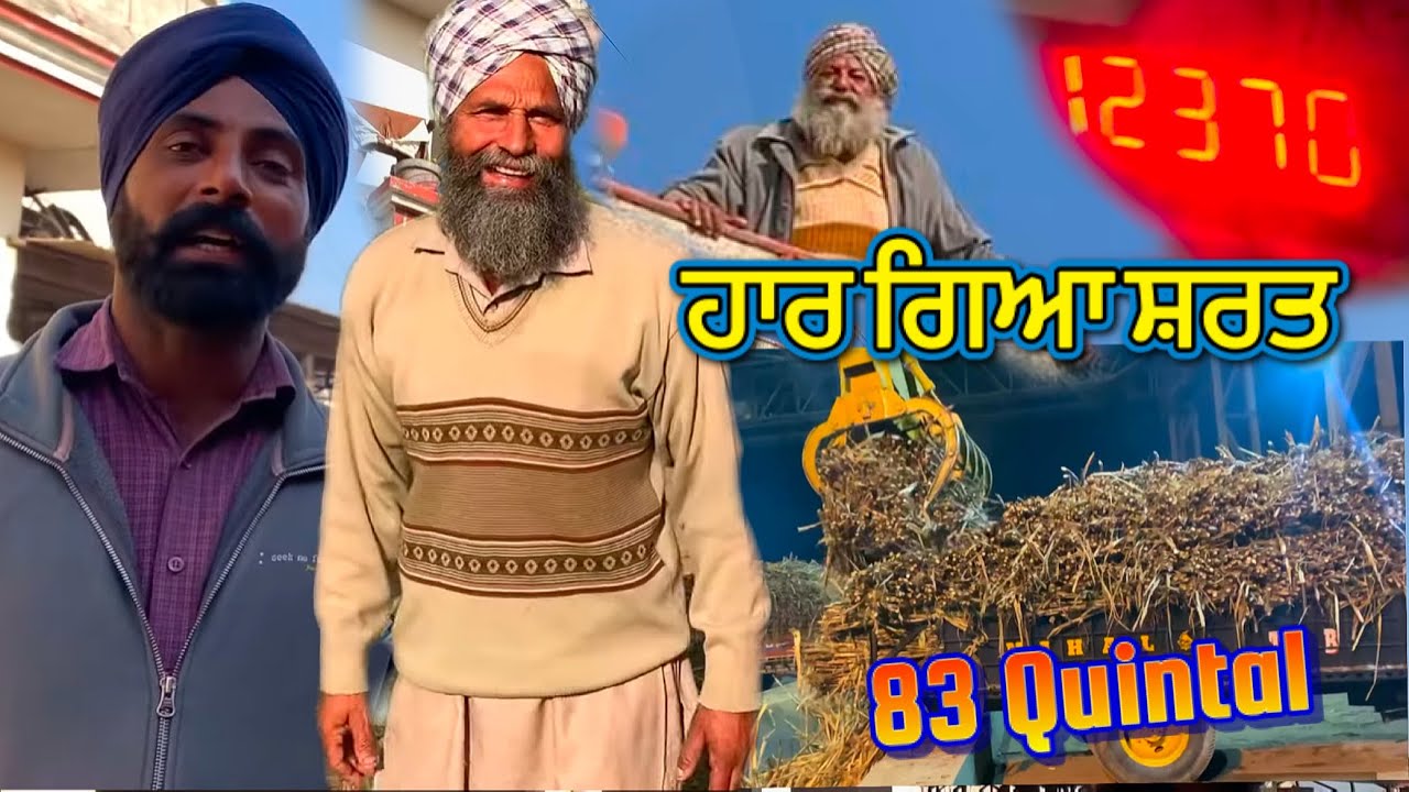 ਇਹ ਪੰਜਾਬ ਏ ਪੰਜਾਬ / ਸ਼ਰਤ ਦਾ ਨਤੀਜਾ ਮਲਕੀਤ ਚਾਚੇ ਦੇ ਹੱਕ ਚ / ਪੋਪਲਰ ਦੇ ਪੱਤੇ / #tindamahal