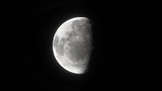 Space Engine (Free Roam) Live