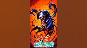 Top 5 Sự Thật Ít Ai Biết Về Bọ Cạp Phần 2 #shorts #scorpion