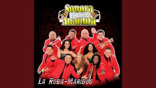 Video thumbnail of "Sonora 100% Puro de Anaidita - Llamame"