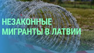 Тайный переход границы. Незаконные мигранты. Убежище для россиян | БАЛТИЯ