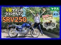【SRV250】トラディショナルなVツイン！高級感たっぷりで意外なポテンシャルを秘めたヤマハの迷作！レトロ250戦線異状なし⁉【4DN ルネッサ】