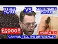 CAVIAR £5000 WORLDS MOST EXPENSIVE Vs UK sustainable Caviar | John Quilter