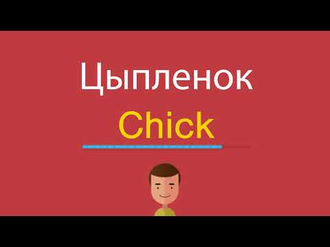 Как по английски цыпленок