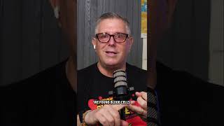 Organic Material Found in Dinosaur Bones