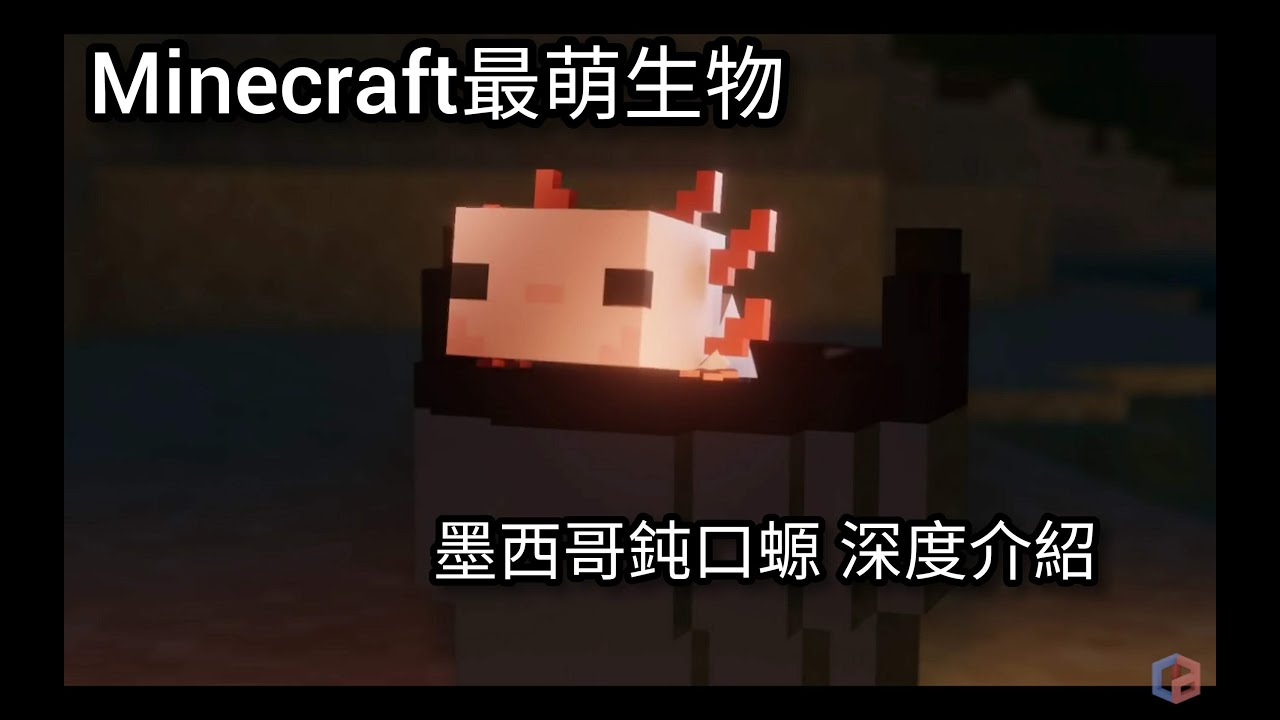 Minecraft小教室 1 Minecraft最萌小生物 墨西哥鈍口螈axolotls Youtube