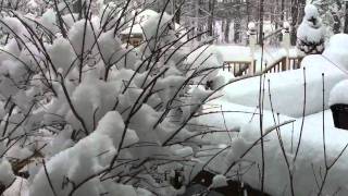 Oswego snowstorm Jan 20, 2011