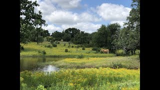 4399 Althaus Davis Rd Fredericksburg TX: Blowout Ranch for sale