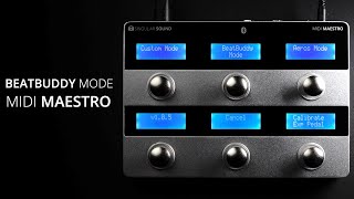 MIDI Maestro - Singular Sound | Hookup, Inc.