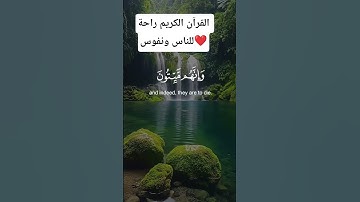 القرآن الكريم راحة للناس ونفوس ❤️ #اكسبلور #fouryourpag #السعوديه #دويتو #لايك #fouryourpag