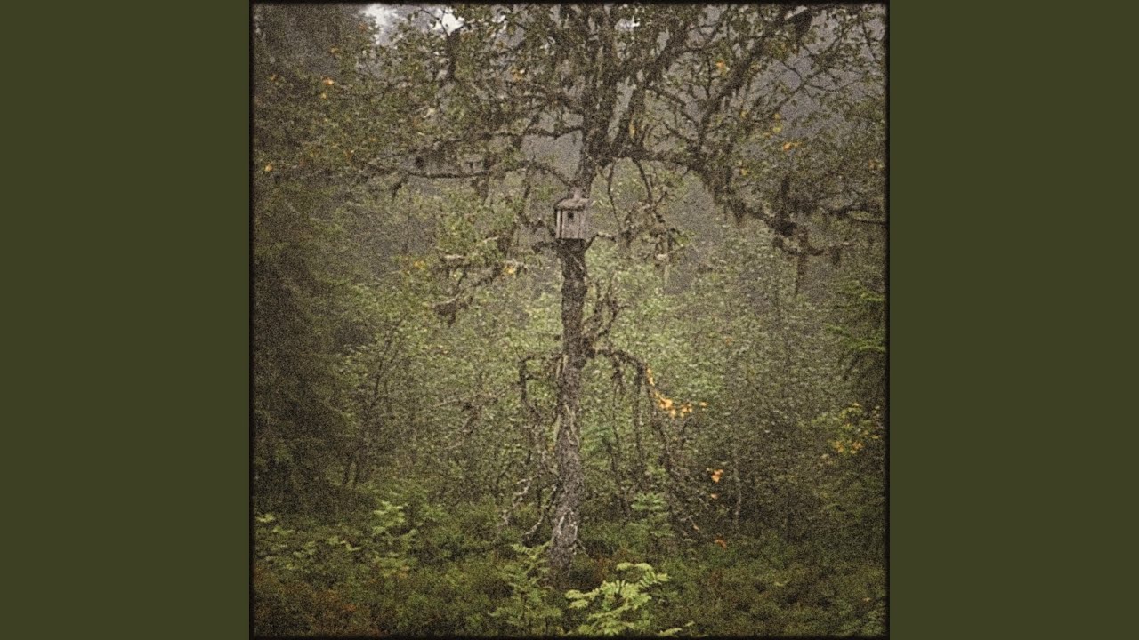 Watch Magical Elf Tree on YouTube Watch Magical Elf Tree on YouTube