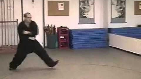 Hsing Yi - Wu Hsing Lien Wan Chuan - Demonstration