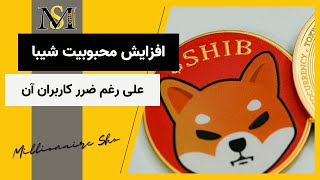 افزایش محبوبیت شیبا علی رغم ضرر کاربران آن