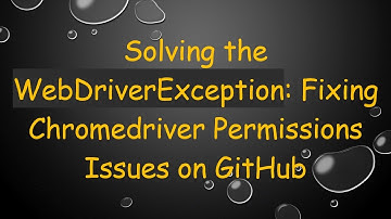 Solving the WebDriverException: Fixing Chromedriver Permissions Issues on GitHub