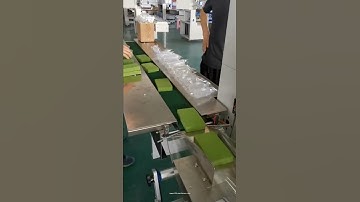 Automatic foam pad flow type horizontal bag packaging machine bagging video