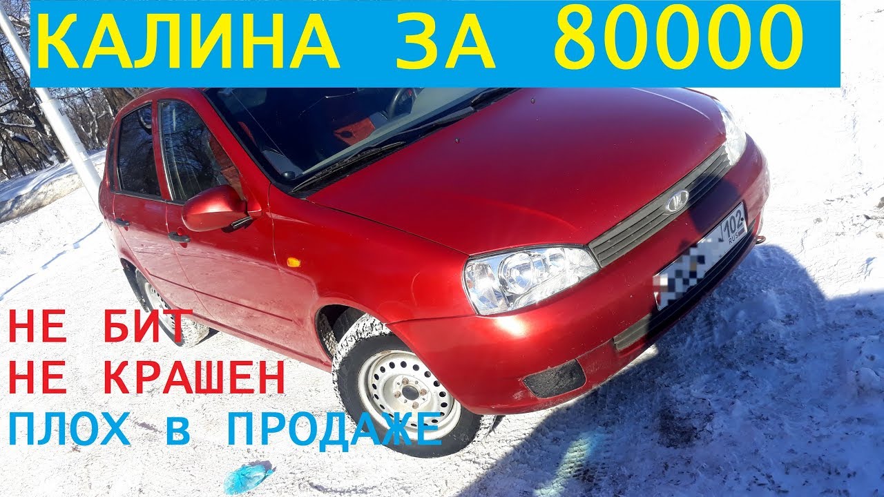 Продам калина люкс