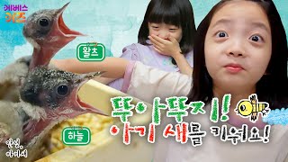 뚜아뚜지의 아기새 돌보기 프로젝트!ㅣ아기새 돌봄단ㅣ안녕 아기 새 스페셜ㅣTV유치원ㅣKBS 20230605 방송