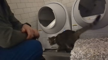 Attempt #2 at Cat Link Calibration