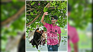 O saathi || New tiktok couple trending video xml file