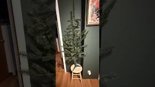 Selvsving - Fars Karisma (Last Christmas)
