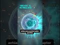 🚨 ¡Última hora 2026! PP405: El fin de la calvicie #shorts