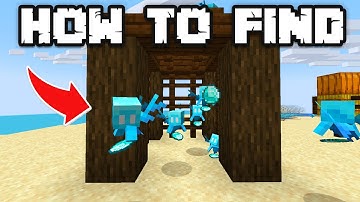 How to Find, Tame, and Use Allays in Minecraft 1.19!