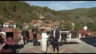 картинка: ВЕЗИЛКА БЕЛИЦА (КИЧЕВСКО) / VEZILKA BELICA (KICEVSKO)
