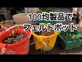 【活かす暮らし】100均のカゴとフェルトでカラフル植木鉢　エアープルーニング・ポット　作り方　DIY  Air pruning pot, growing bag