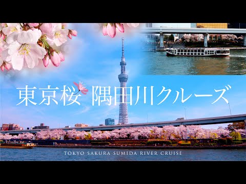 春の隅田川、お花見クルーズと浅草散策。【4K】桜、東京クルーズ、浅草、スカイツリー、東京観光、花見、観光、すみだリバーウォーク、恋人の聖地、屋形船、浅草寺、浅草神社、桜並木、Tokyo Asakusa