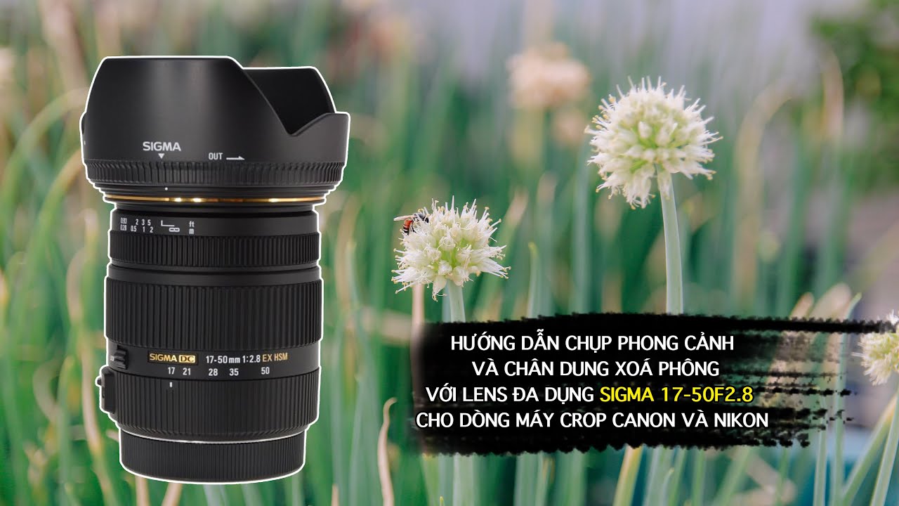 Những lens chân dung tuyệt vời cho máy crop  Blogs các sản phẩm công nghệ  zShopvn
