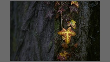 Editing moments with darktable. Episode 32: demonstration of color balance module