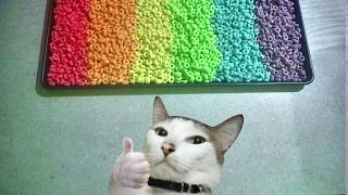 FRUIT LOOPS Cereal sorted by color! #FrootLoops