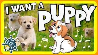 I Want a Puppy | Song for Kids | Captain & Cat