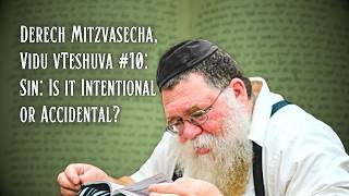 Derech Mitzvosecha Vidu vTeshuva #10- Sin: Do you do it intentionally or accidentally RC Dalfin