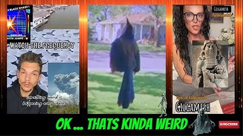 weird web wonder 451