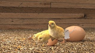 Betika - Better betting for bettors