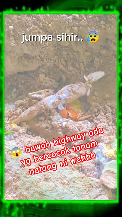 klu kita jumpa yg org buang, pelepas atau yg bt ke org.. apa yg perlu kita bt eh?? seram jer tgk 😭