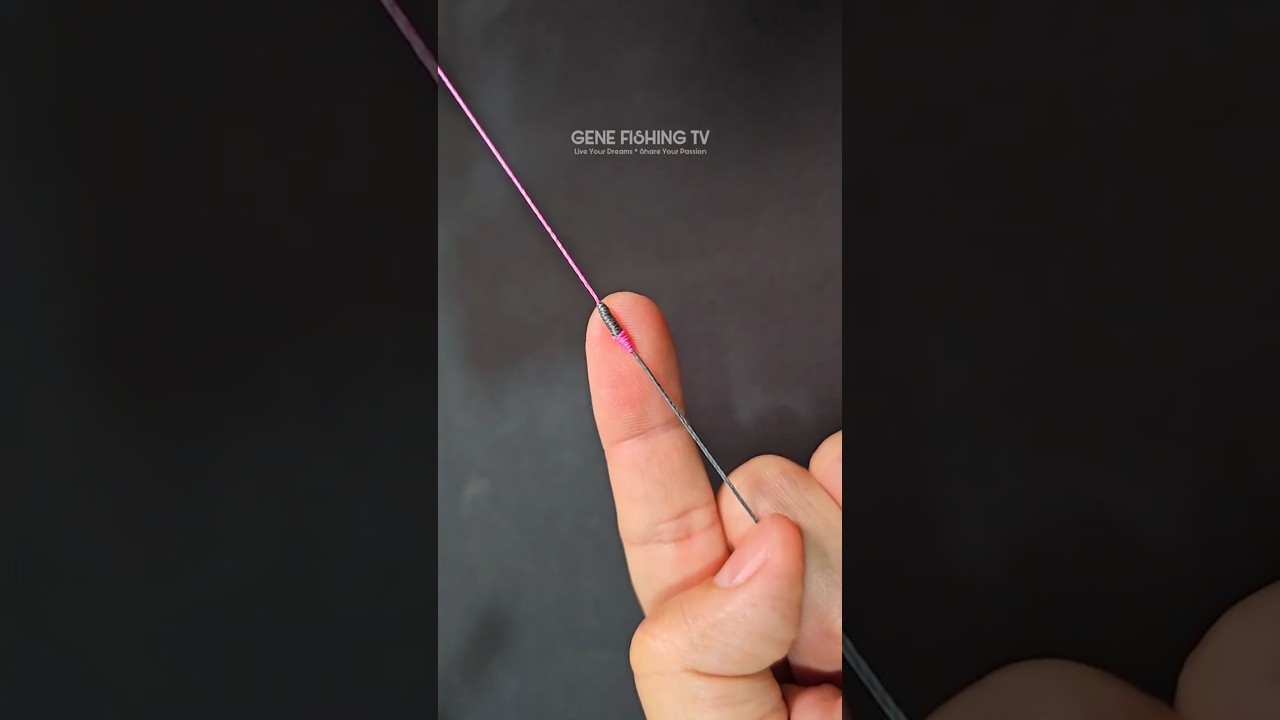 Micro Guide Friendly Knot | Braid to Mono or Fluorocarbon Leader