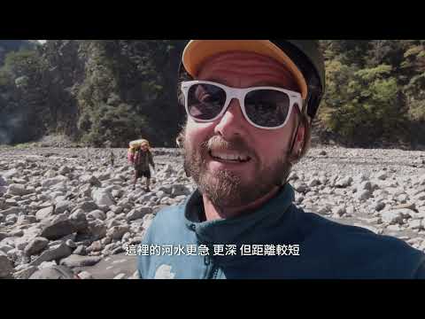 84.1公尺有多高？親眼見證台灣第一高樹「大安溪倚天劍」的震撼｜自然環資 TNF #環境保護 #大安溪倚天劍 #找樹的人