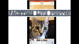 How To - Take and Disable Live Photos in FaceTime on the iPhone
