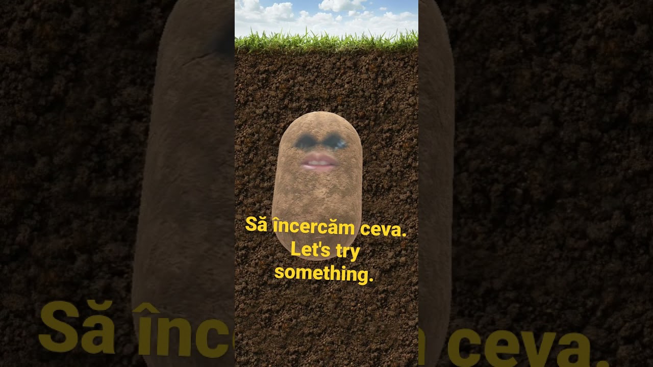 Learn Romanian Phrase #46 - Să încercăm ceva. = Let's try something.