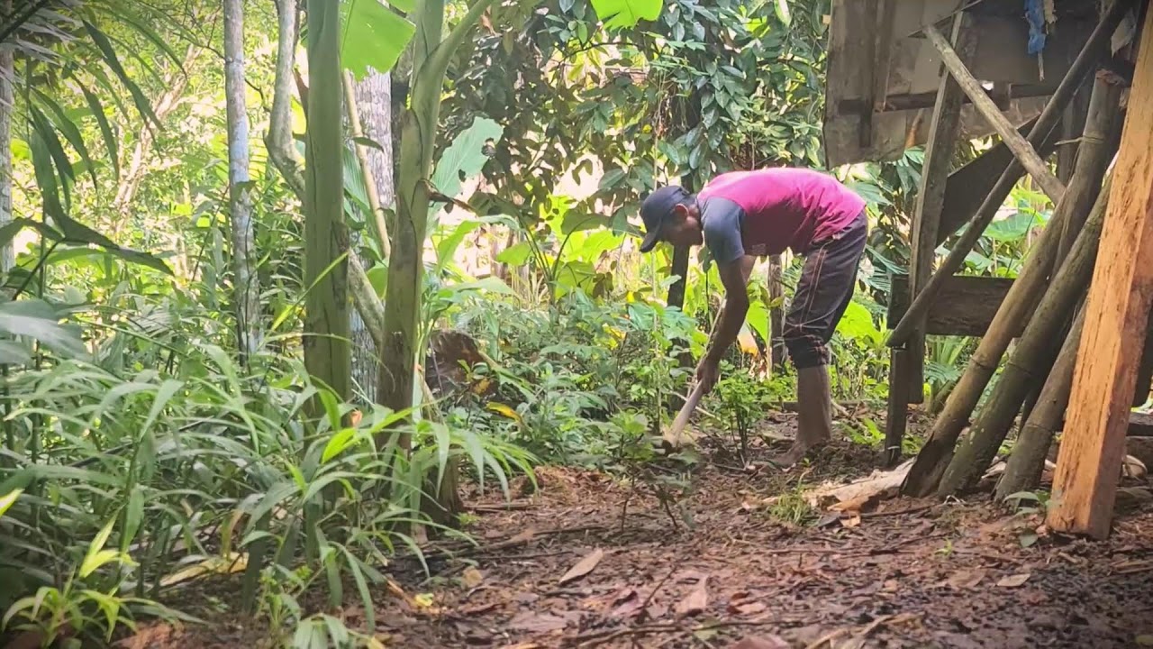 DIY Irrigation: Digging Water Channels with a Hoe _FarmersLife _Shorts