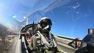 T-6 TEXAN II BIRD STRIKE DURING DOLLAR RIDE!!!