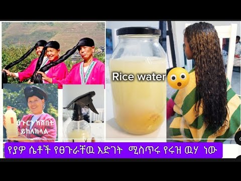 ትክክለኛው የያዎ ሴቶች ለፀጉራቸው የሚጠቀሙት የሩዝ ውሀ አሰራር እና አጠቃቀም በሳምንት አንዴ ተጠቀሚው Rice Water For Good Hair Growth 
