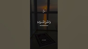 زين للناس حب الشهوات || القارئ عبد الرحمن مسعد تلاوة جميلة وخاشعة .