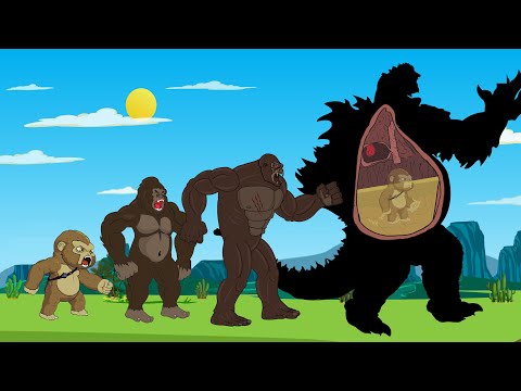 Vídeo: Evolució O No?