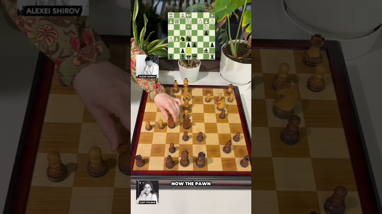 Judit Polgar's Immortal Game 